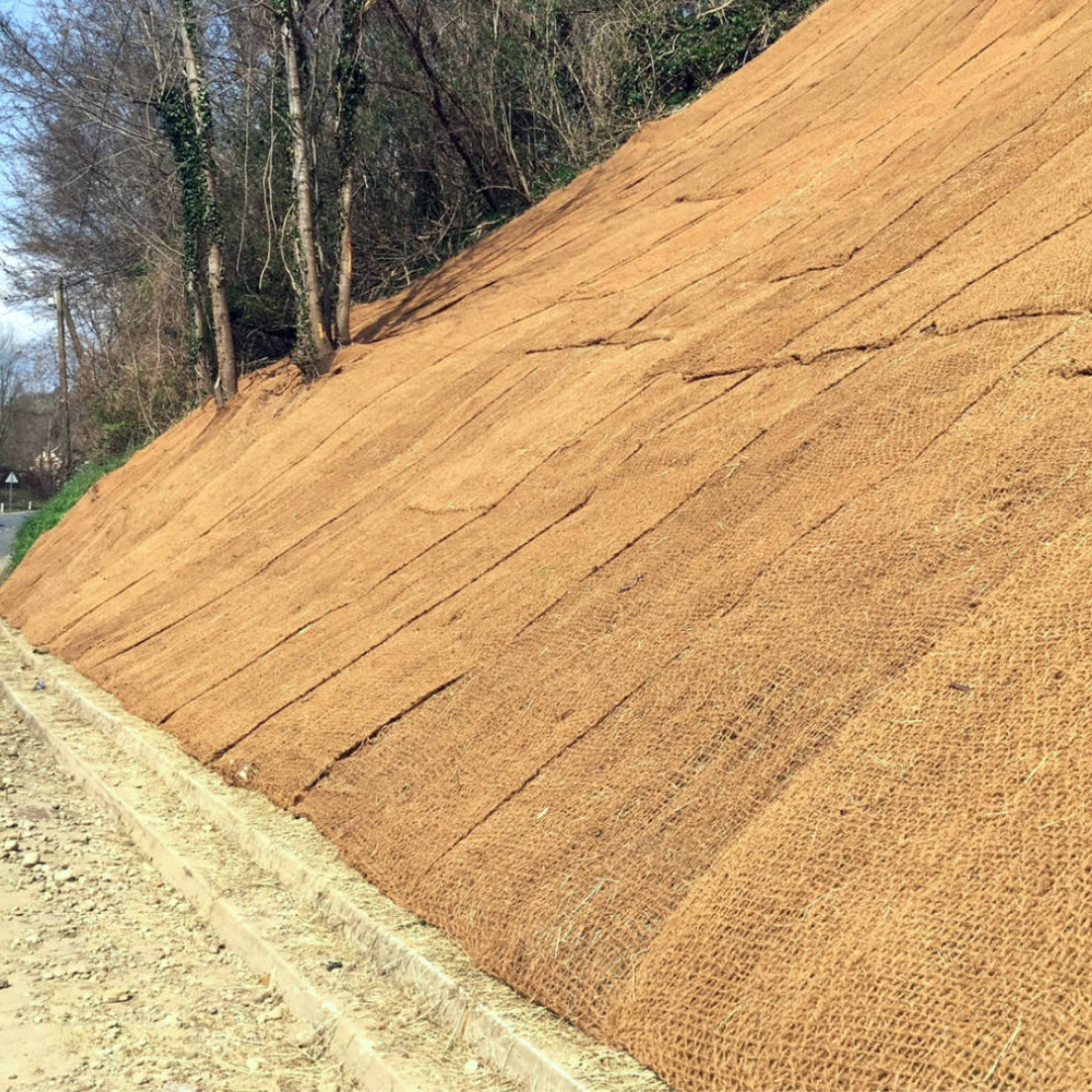 Protierozijska zaščita brežin - kokosova mreža - Sanacija brežine