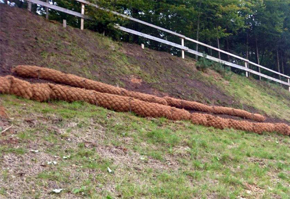 Kokosovi valji pred položitvijo